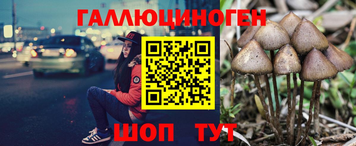 Галлюциногенные грибы мицелий  Вход с VPN  Псилоцибиновые грибы мицелий  Краснокаменск 